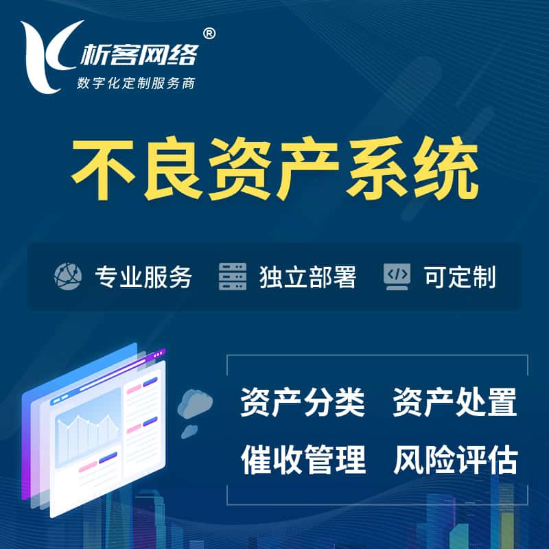 攀枝花不良资产管理系统